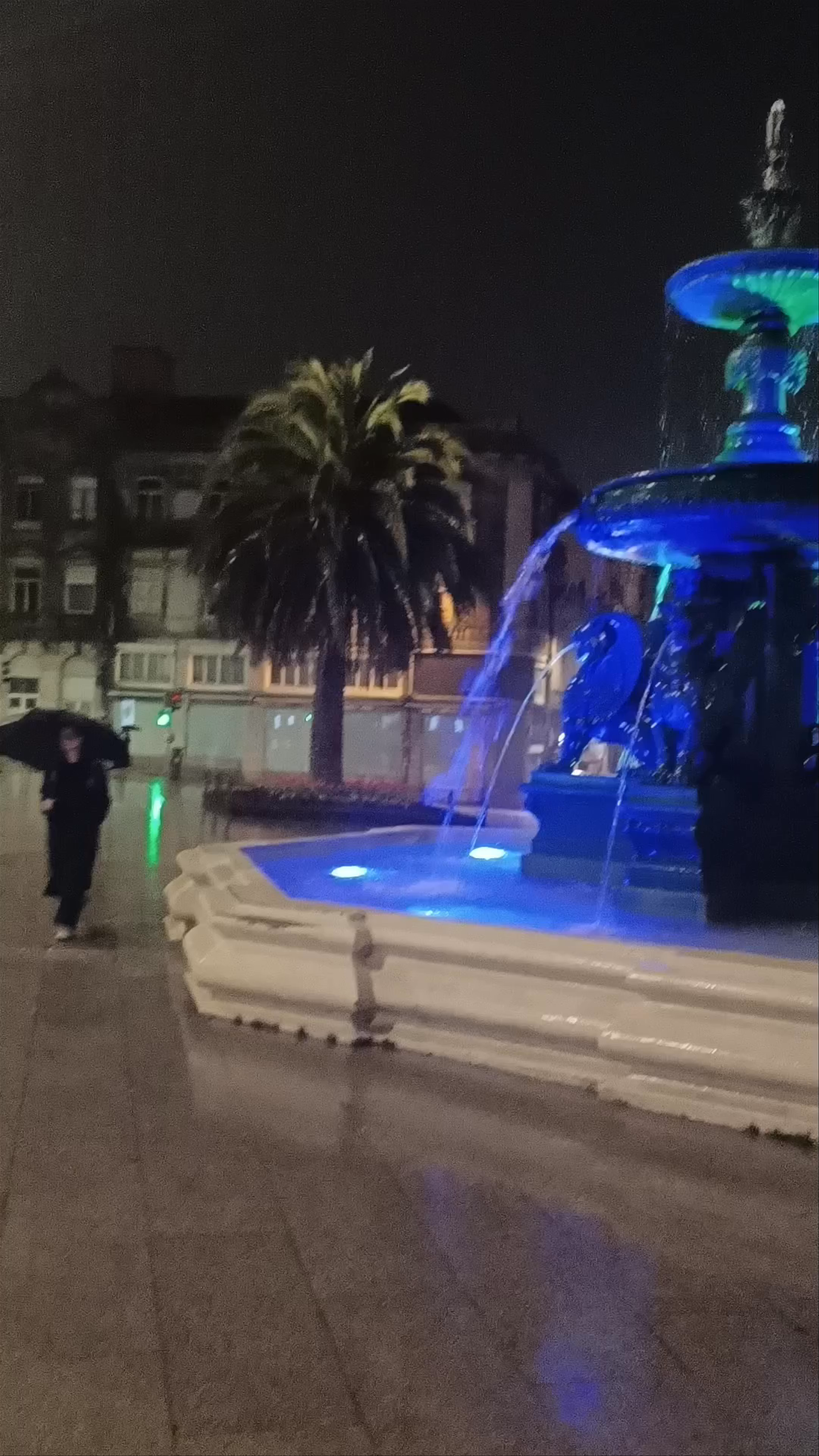 Fuente de los Leones at Praça de Gomes Teixeira: Nighttime Serenity in Porto