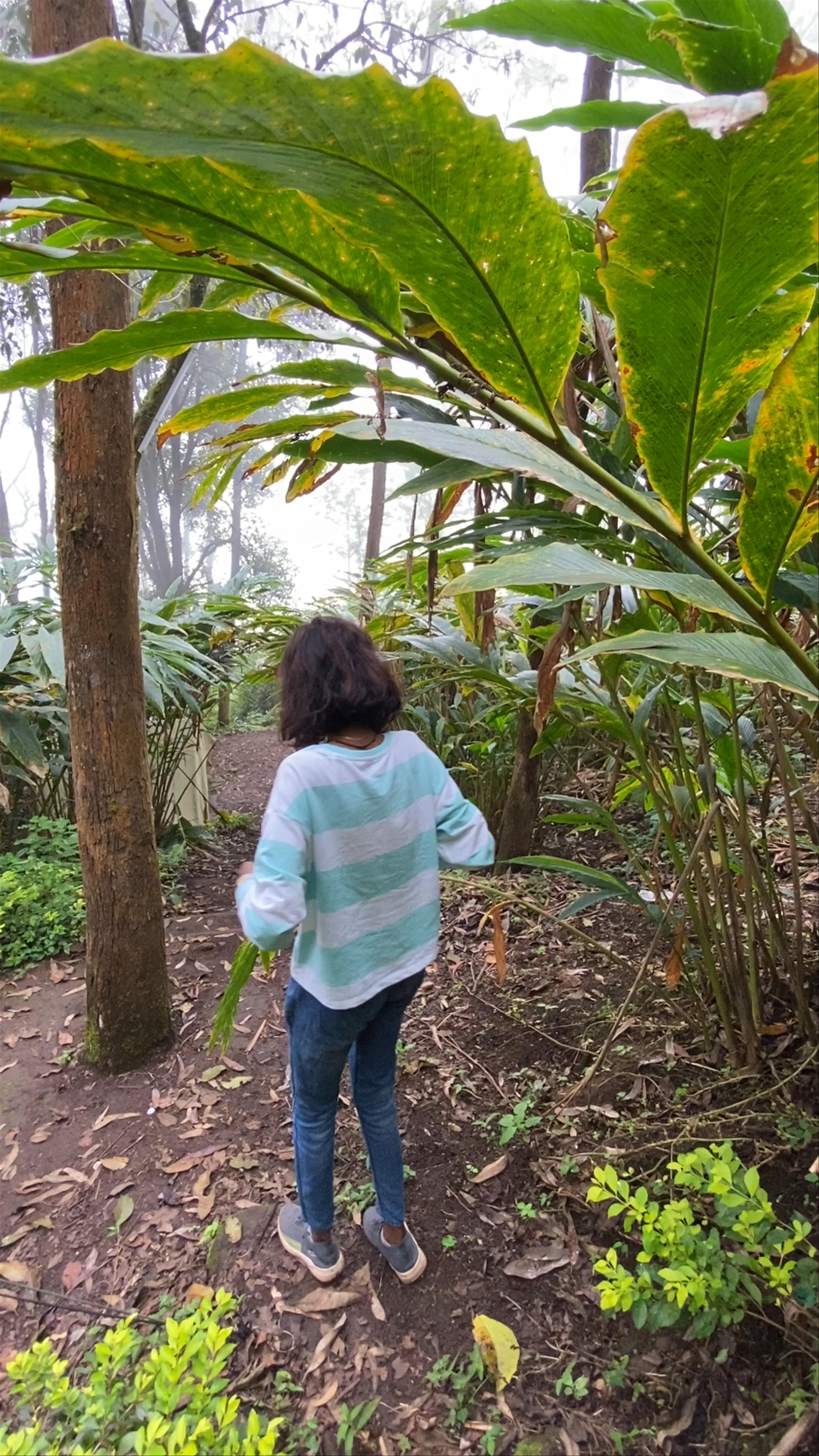 Udumbanchola Grama Panchayath