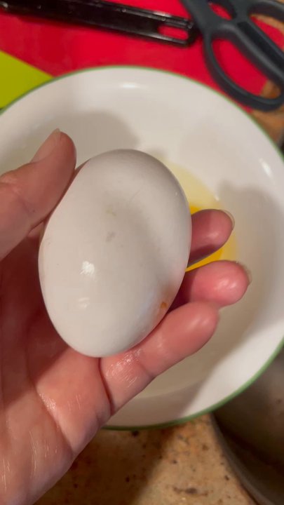 Voortman's Egg Ranch - I bought double yorks yesterday, but they are not double york just super big. But good eggs anyway. - Specialty Food Near Me - Ontario, California