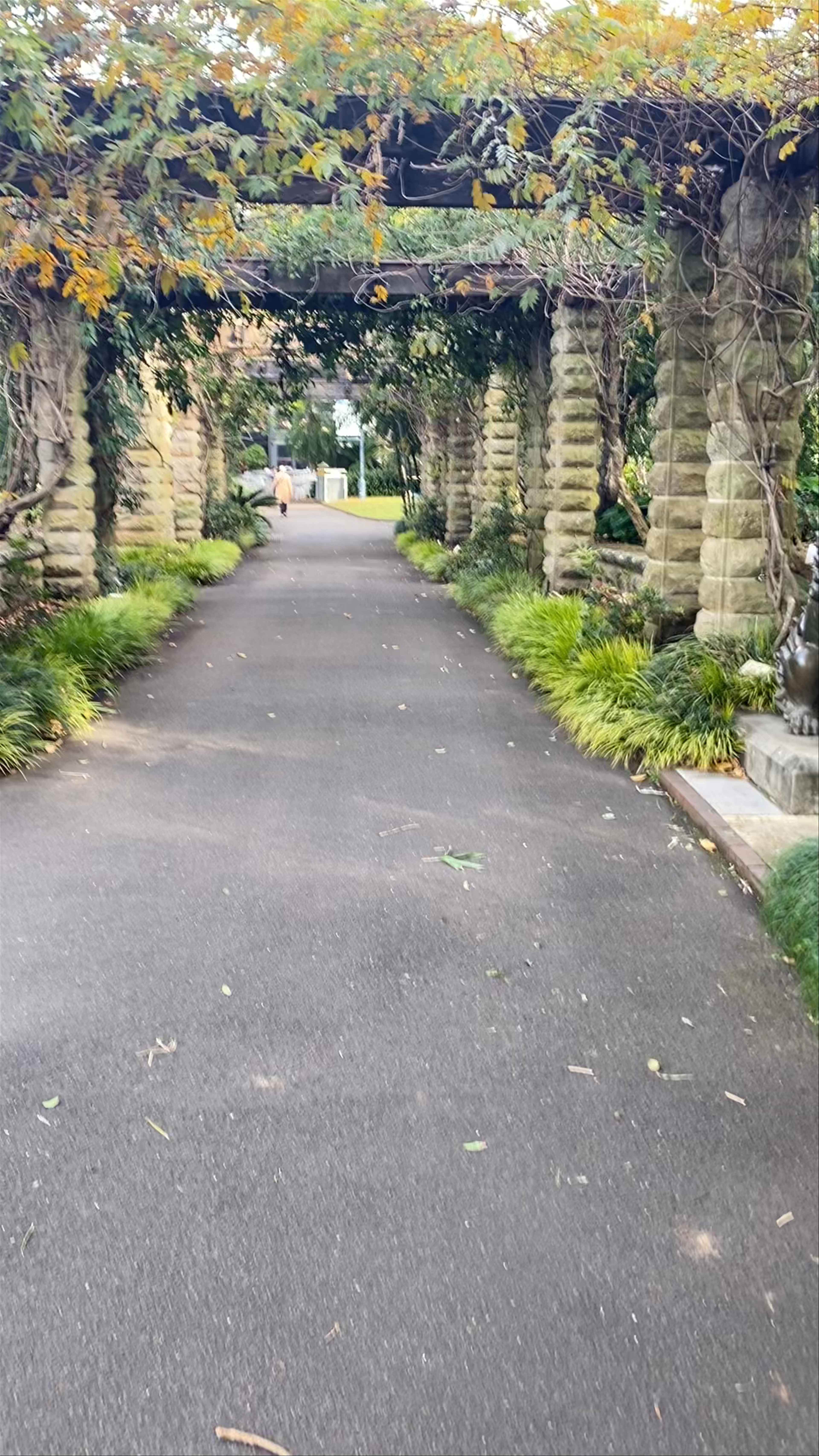 Botanical Gardens Sydney