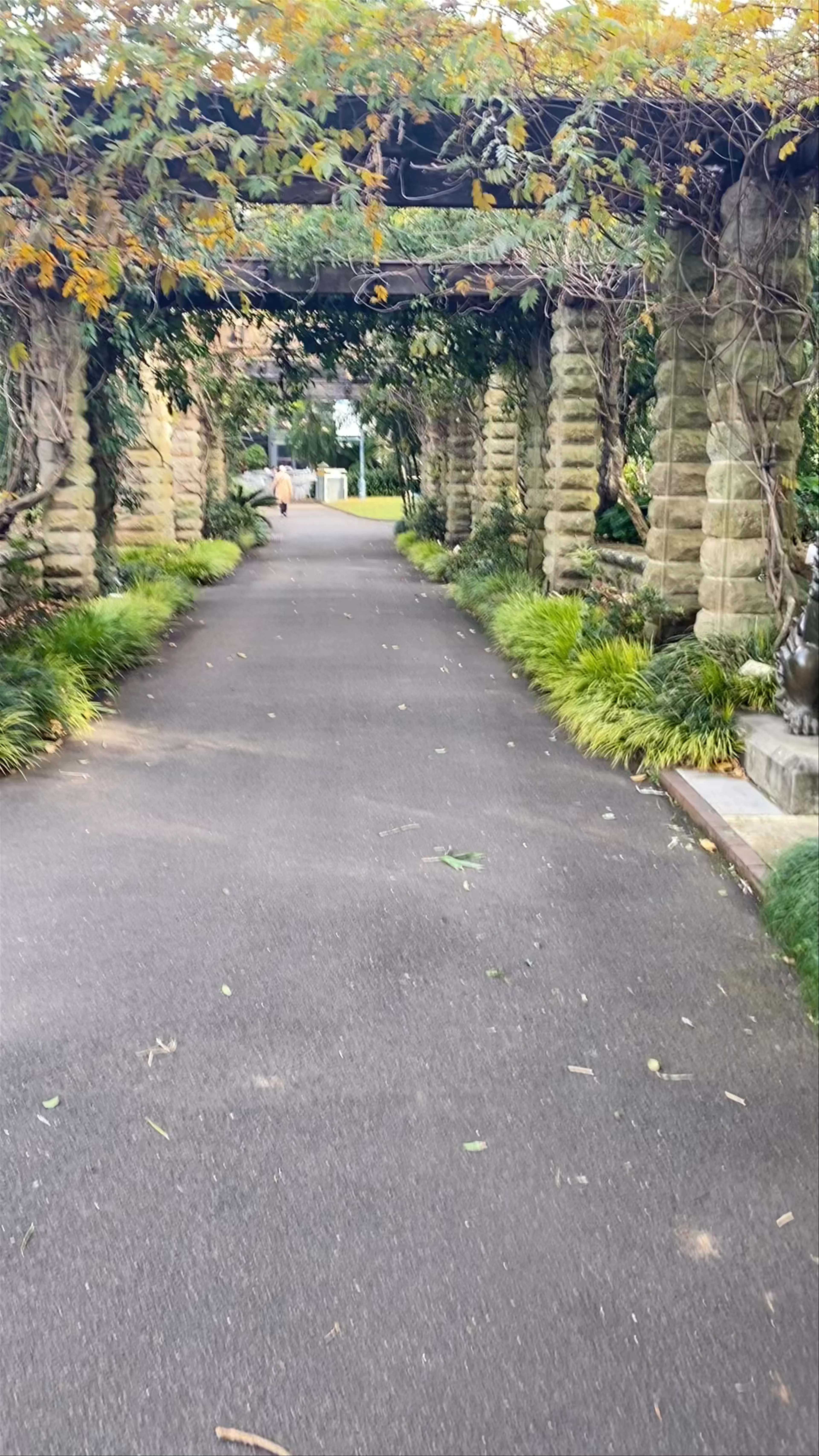 Sydney Botanical Gardens