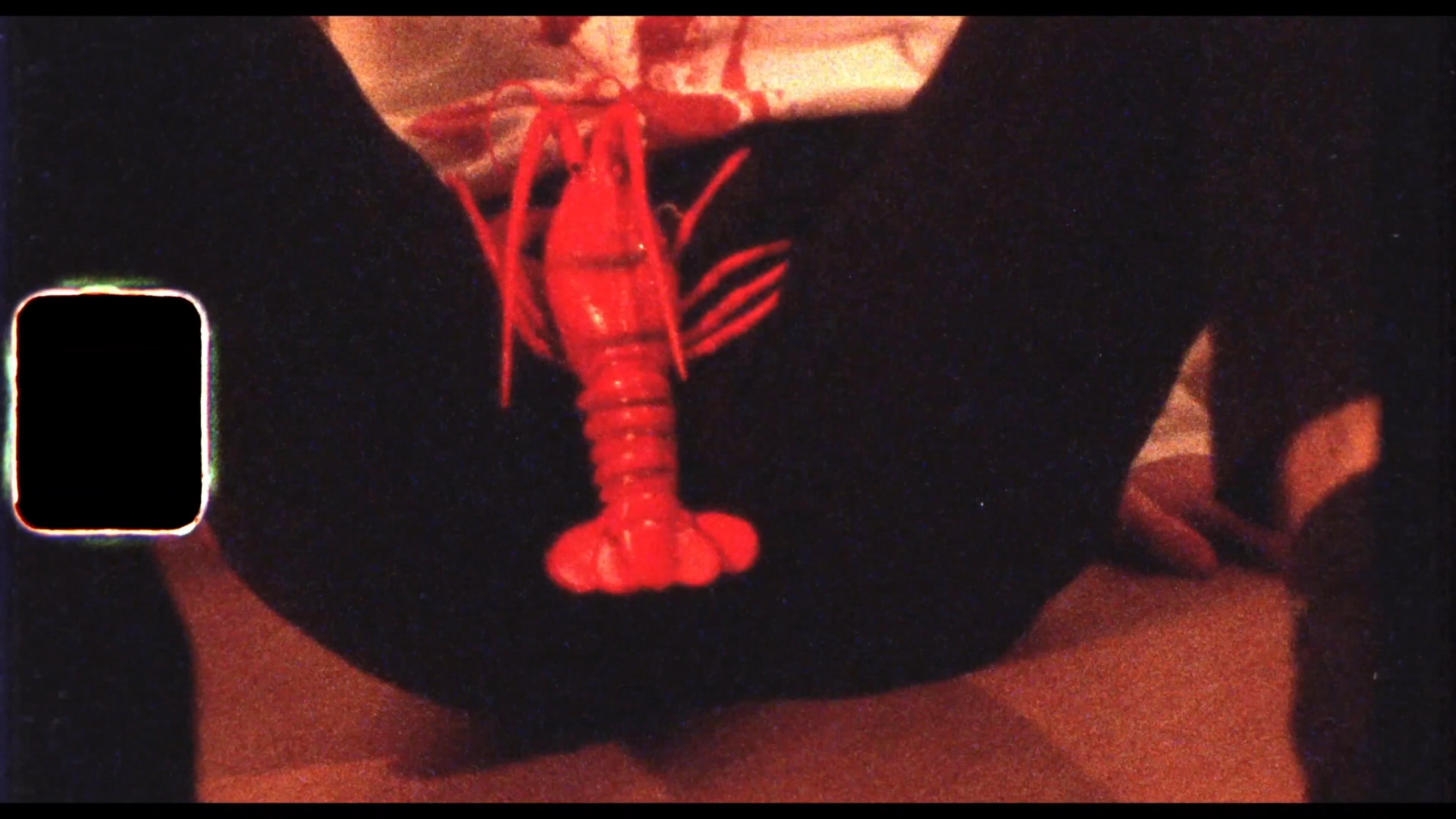 A man in a chef's hat engages in a comedic, absurdist scenario involving a plastic lobster and a kitchen setting while an observer reacts in the background.