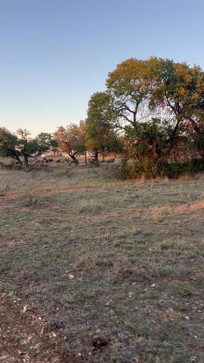 Cinco Canyon Ranch - Wildlife Hunting Ranges Near Me - Fredericksburg, Texas