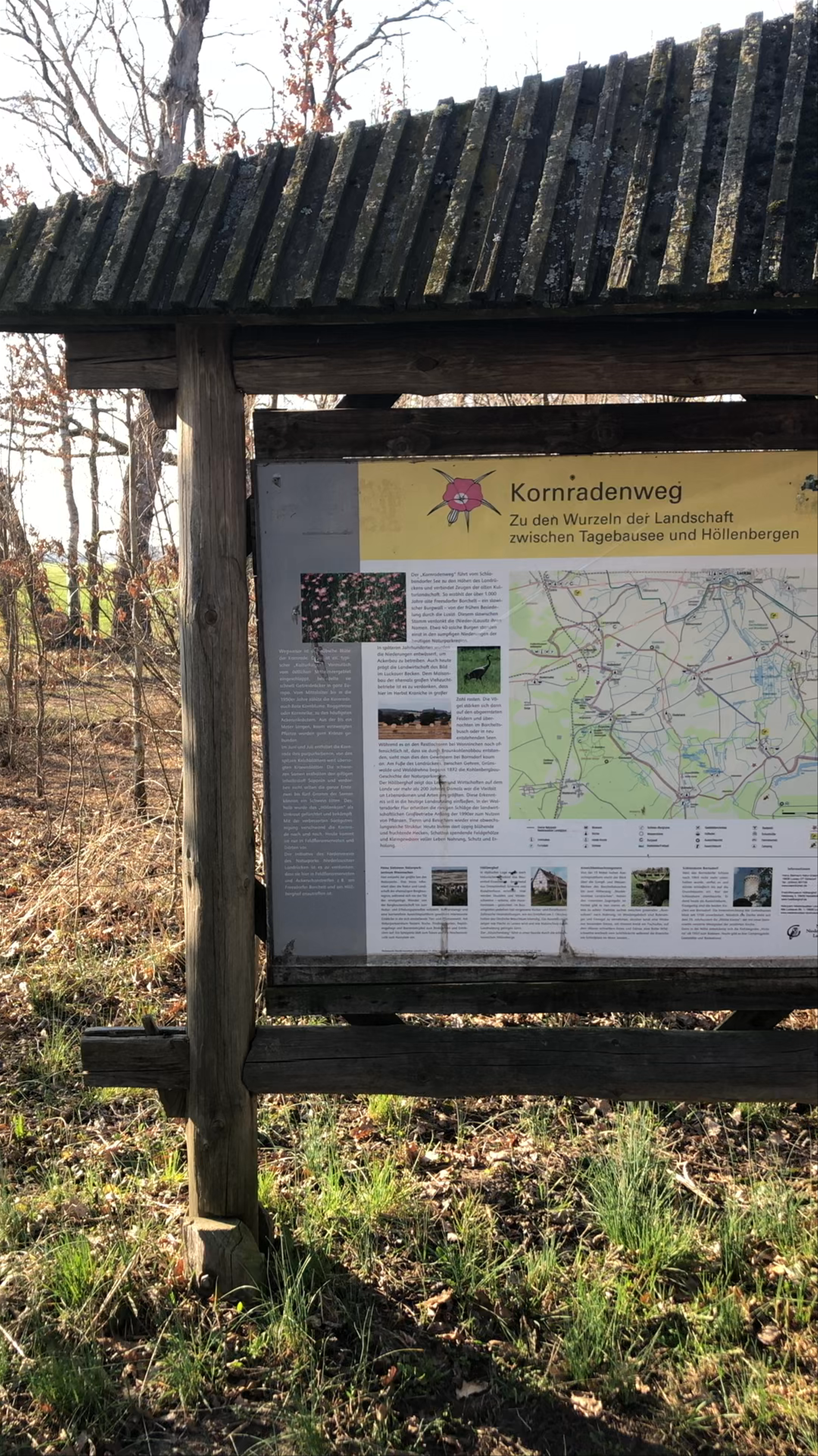 Aussichtsturm Borcheltsbusch - Kranichturm