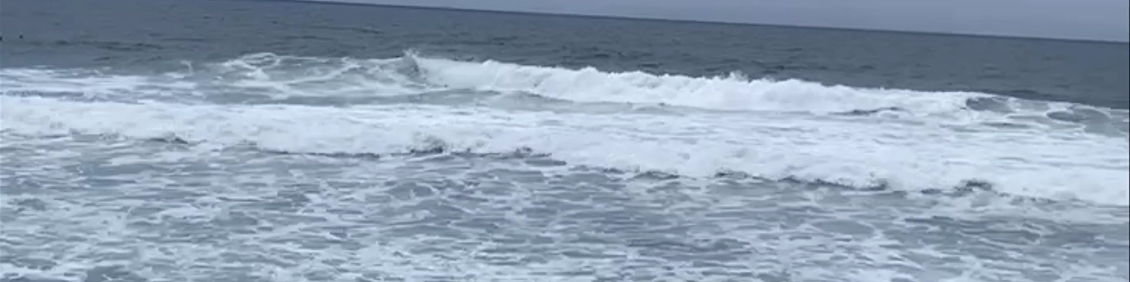Gray Whale Cove State Beach