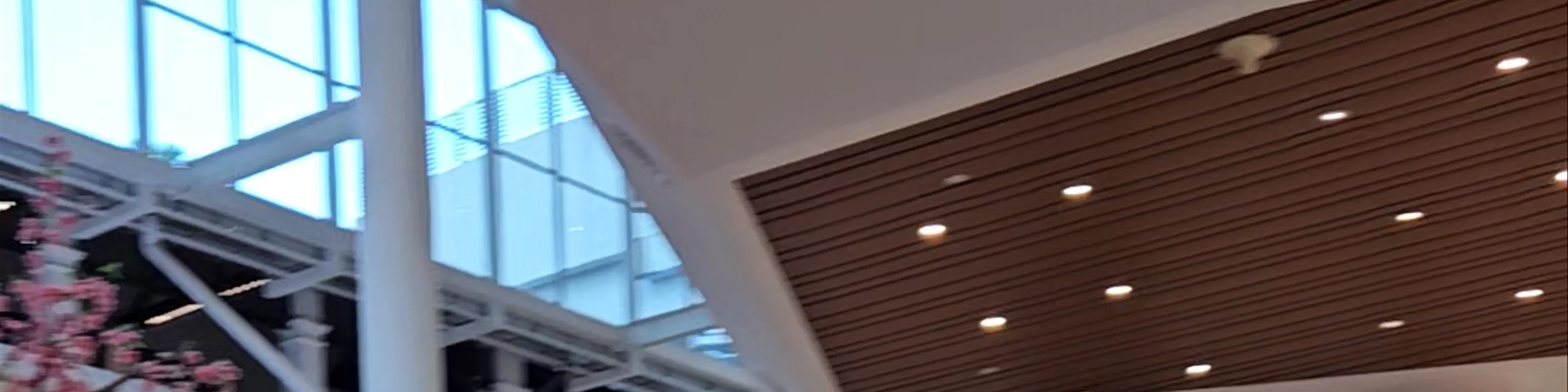 Gurney Paragon