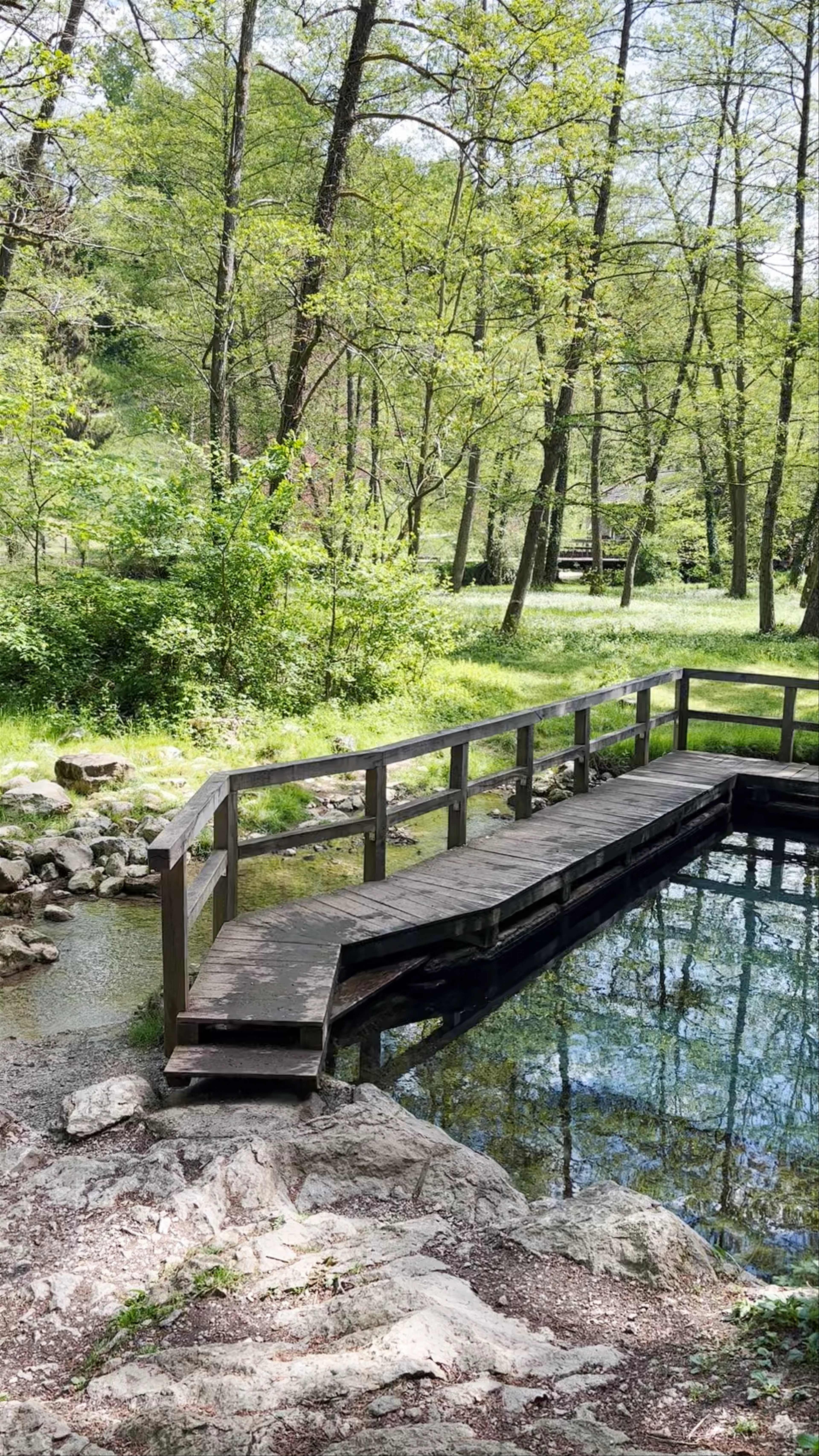 Jugovzhodna Slovenija