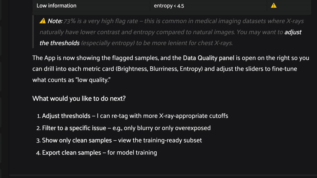 Voxel51 Agent computes blurriness, brightness, and entropy operators to automatically flag low-quality samples.
