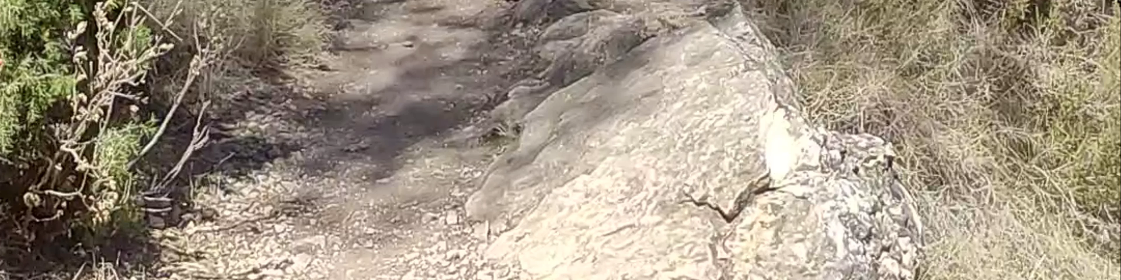 Senda del Dinosaurio