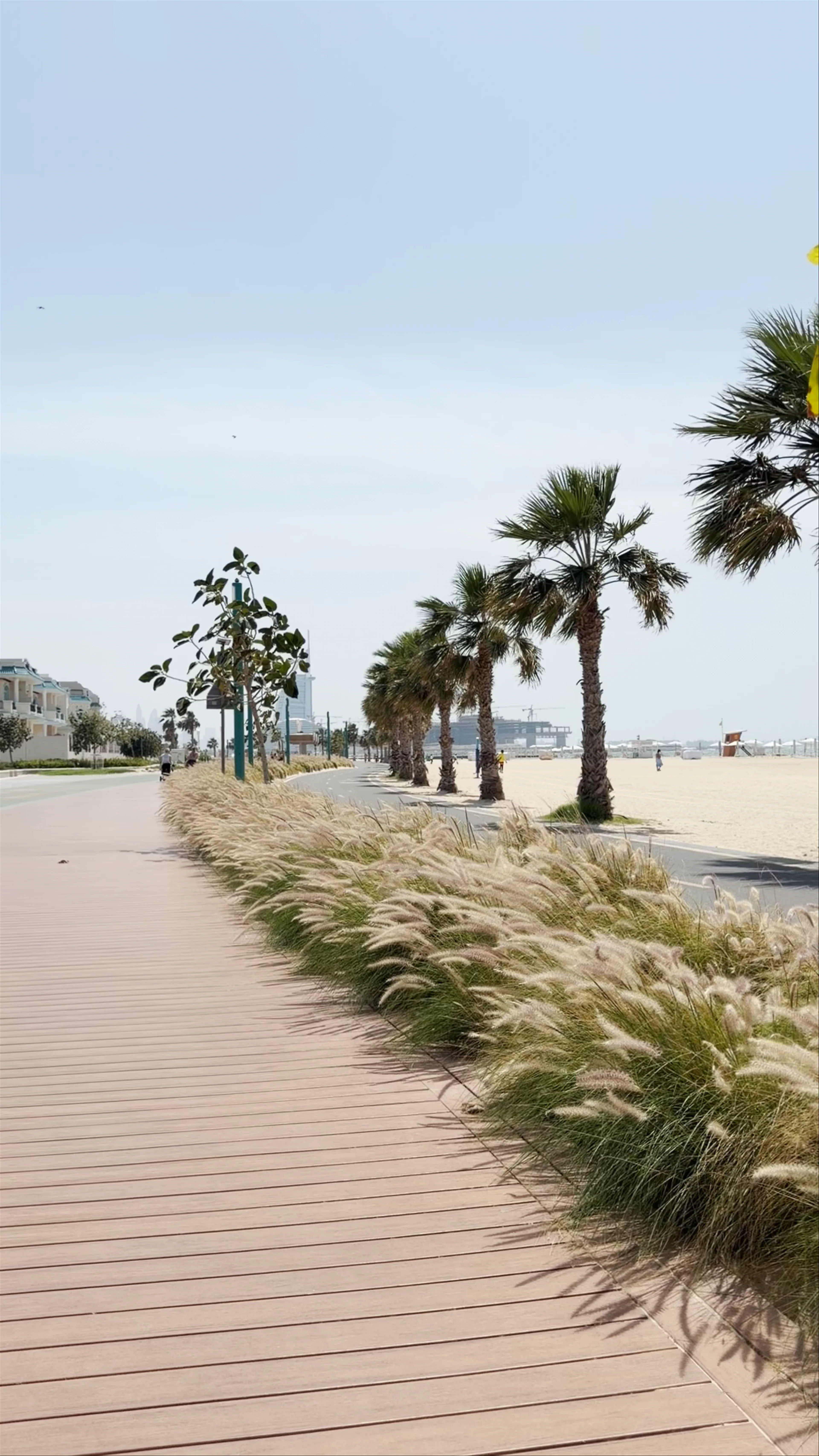Kite Beach
