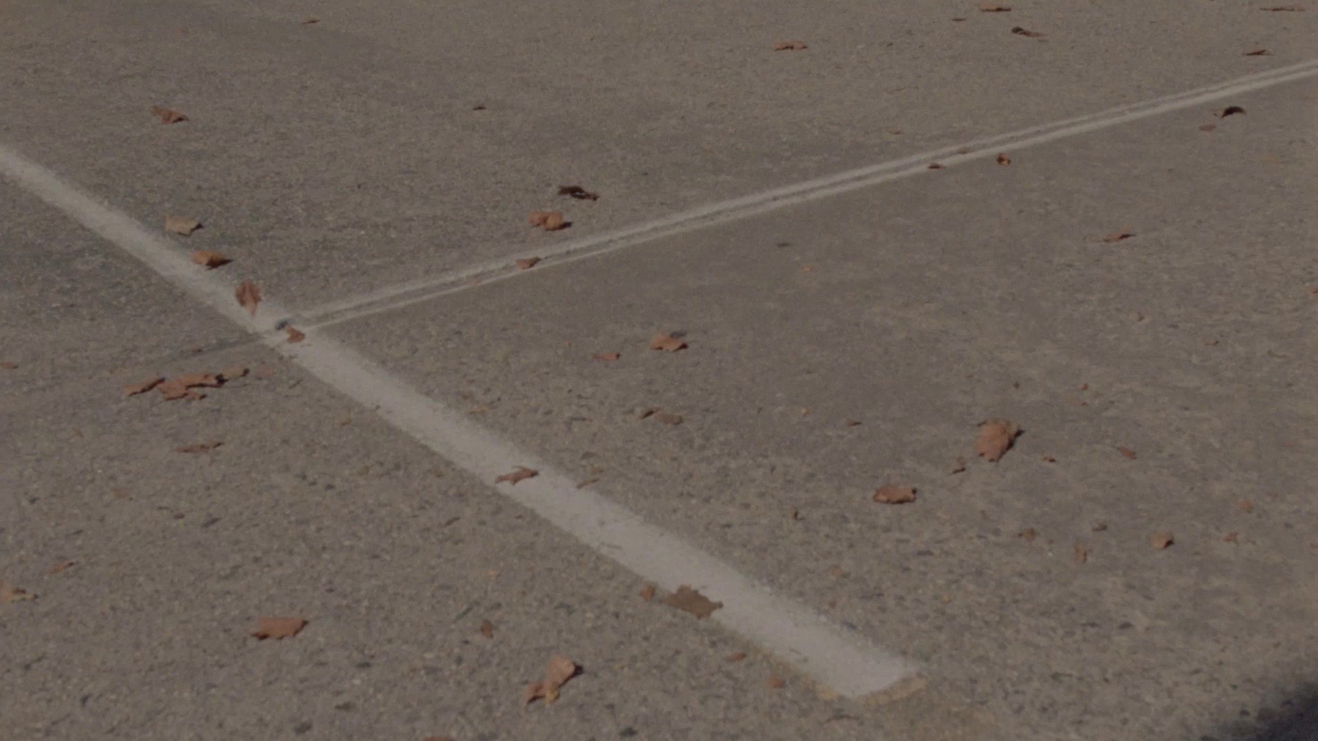 Carhartt WIP Precious Skate Film