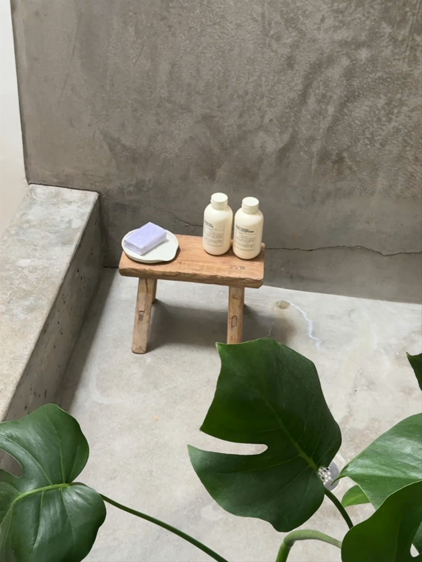 Elmwood Stool