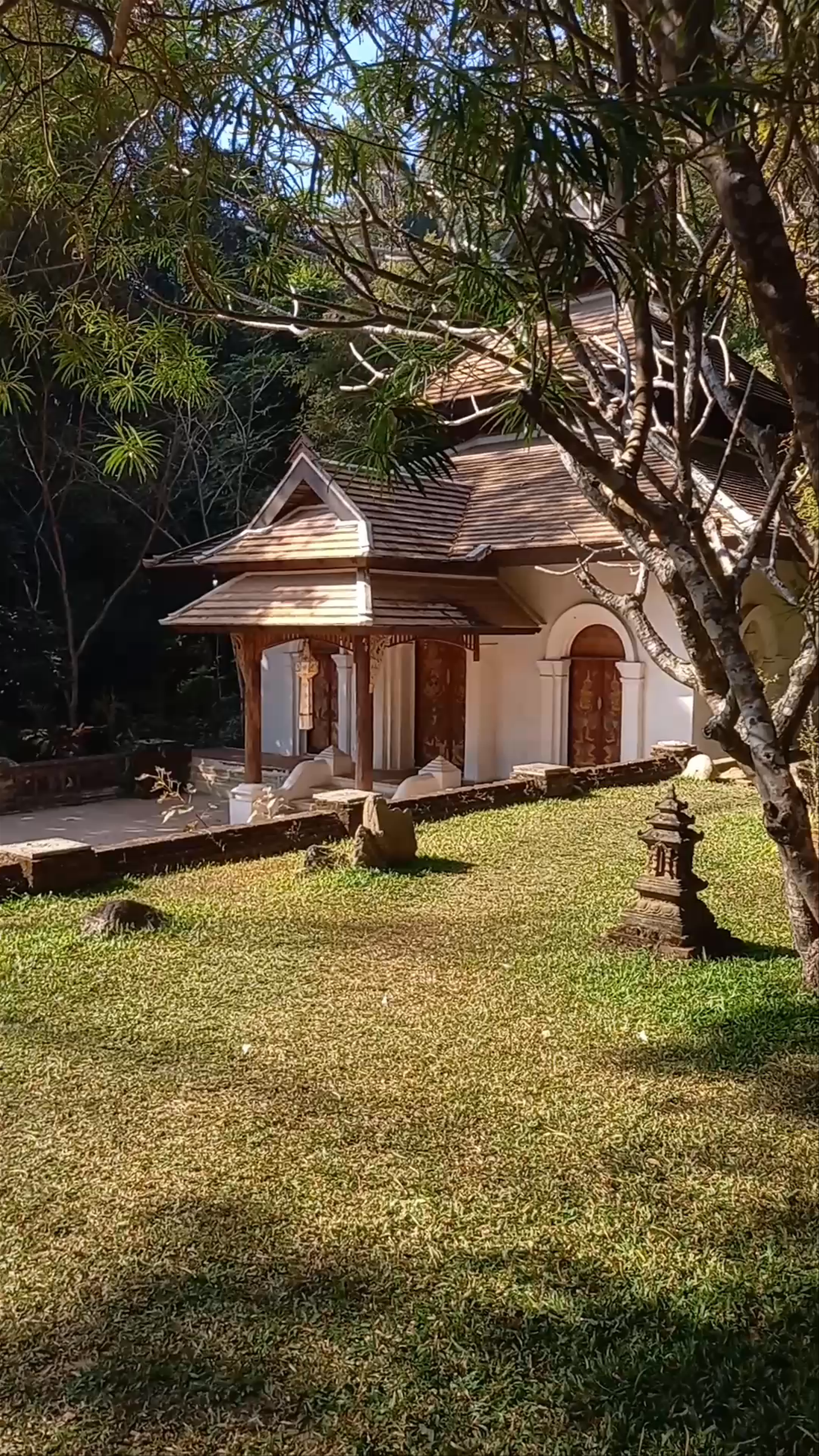 Wat Pha Lat: A Serene Hidden Sanctuary in Chiang Mai