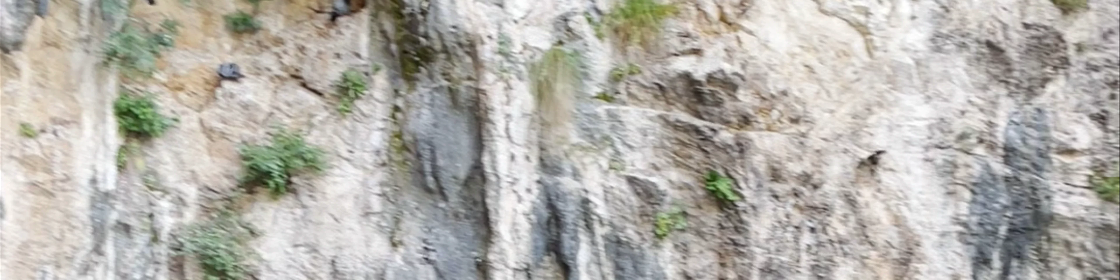 Monasterio de Blagaj