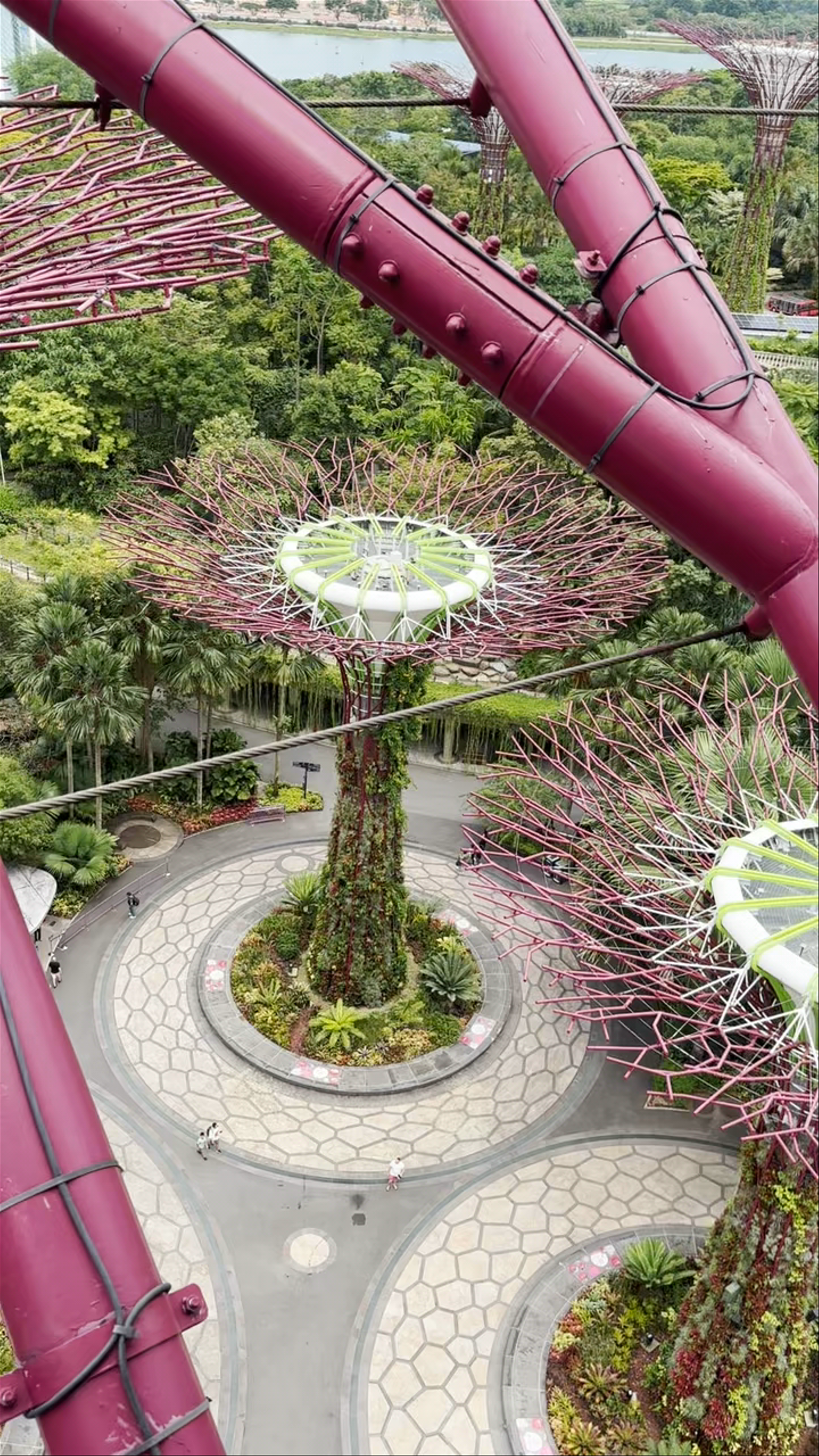 Supertree Observatory: Awe-Inspiring Views at Marina Gardens Drive, Singapore