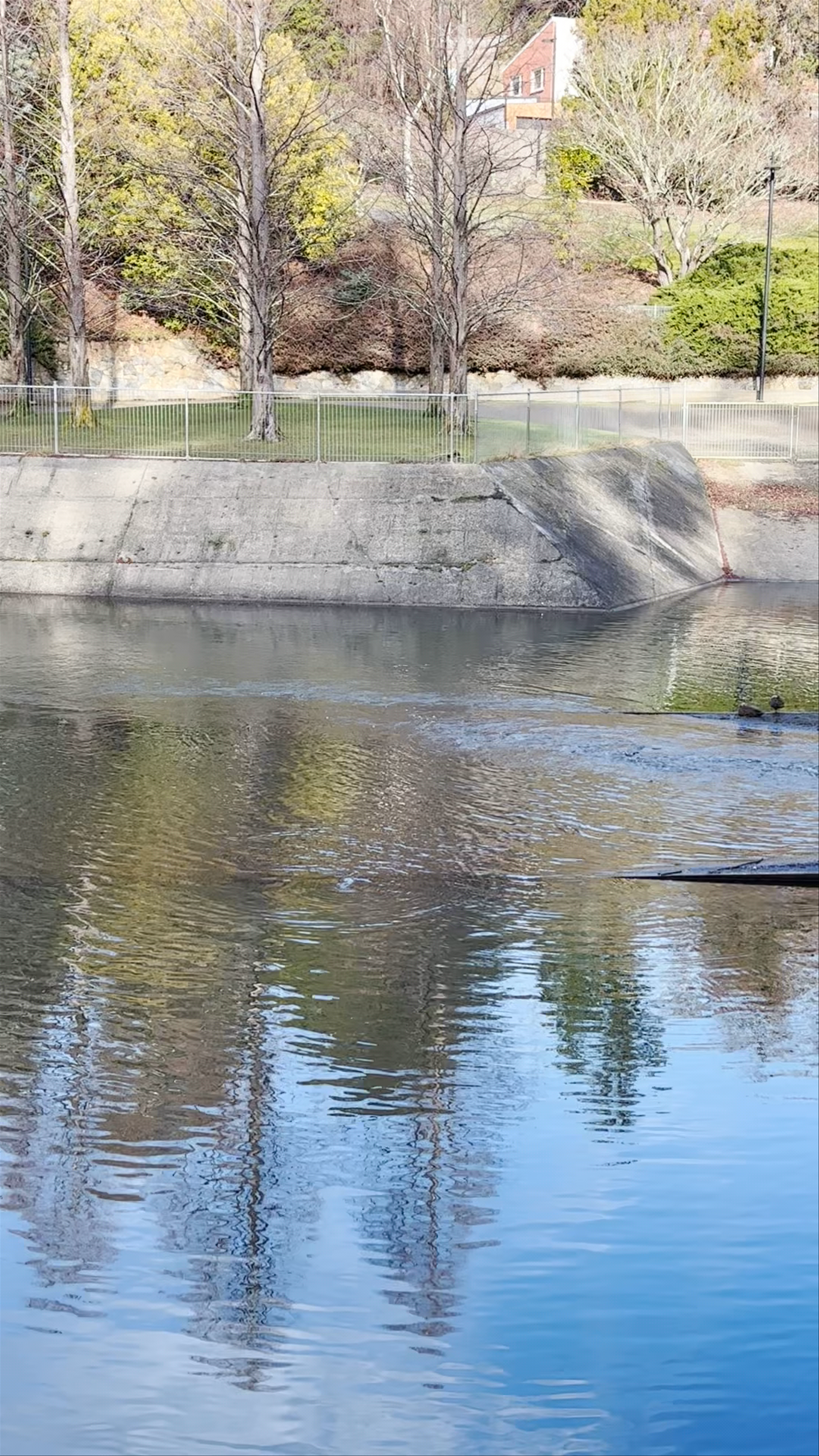 Hobart Linear Park