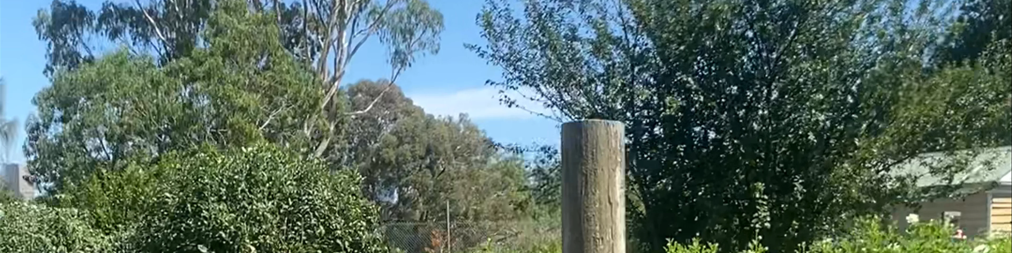Collingwood Children's Farm
