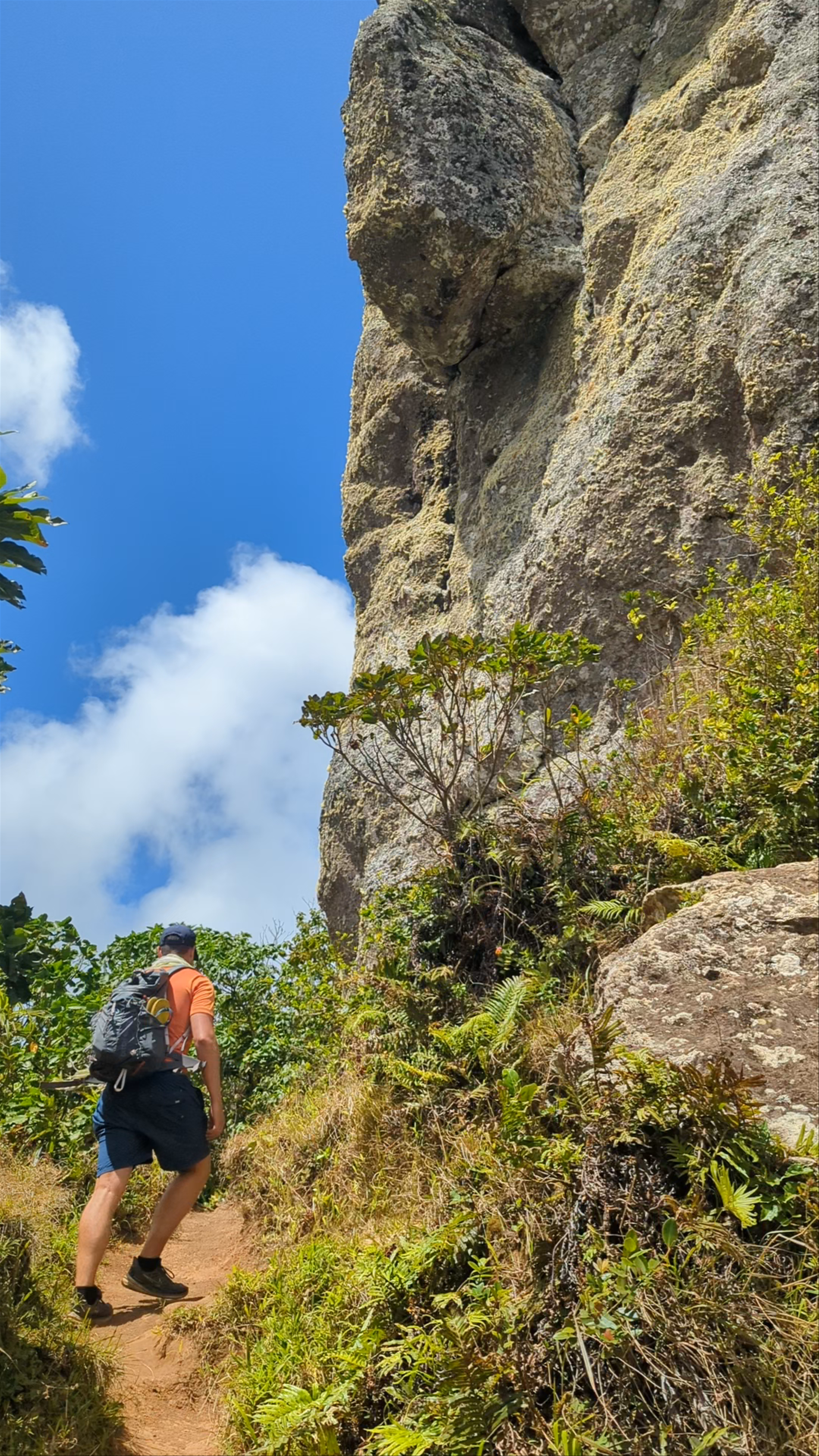 Te Rua Manga (The Needle)