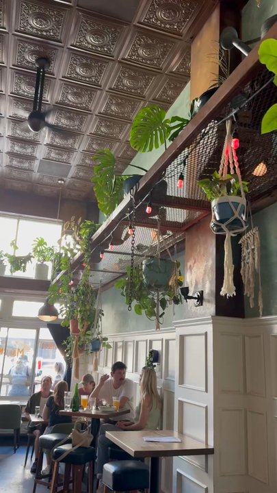 Macondray - Cocktail Bars Near Me - San Francisco, California