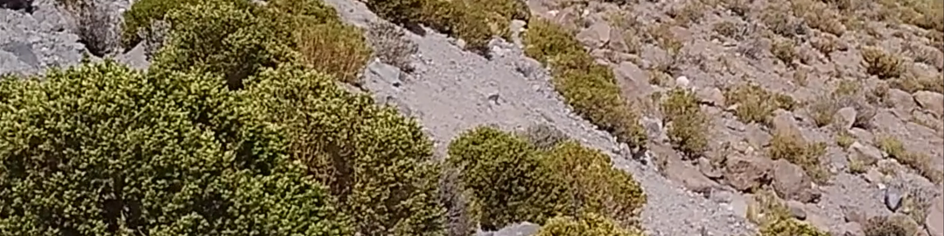 Cañón del Inca