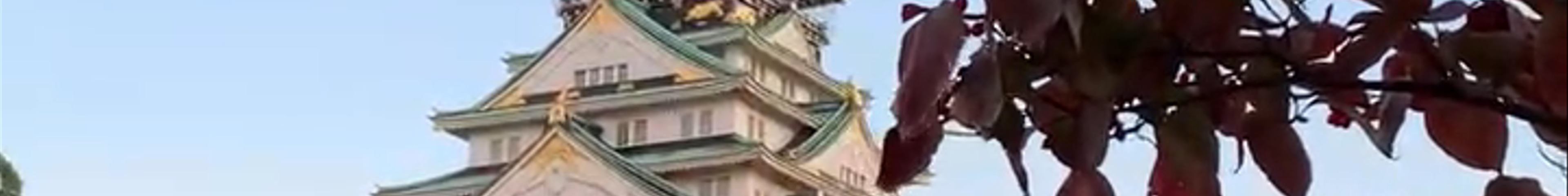 Tours & experiences in Japan