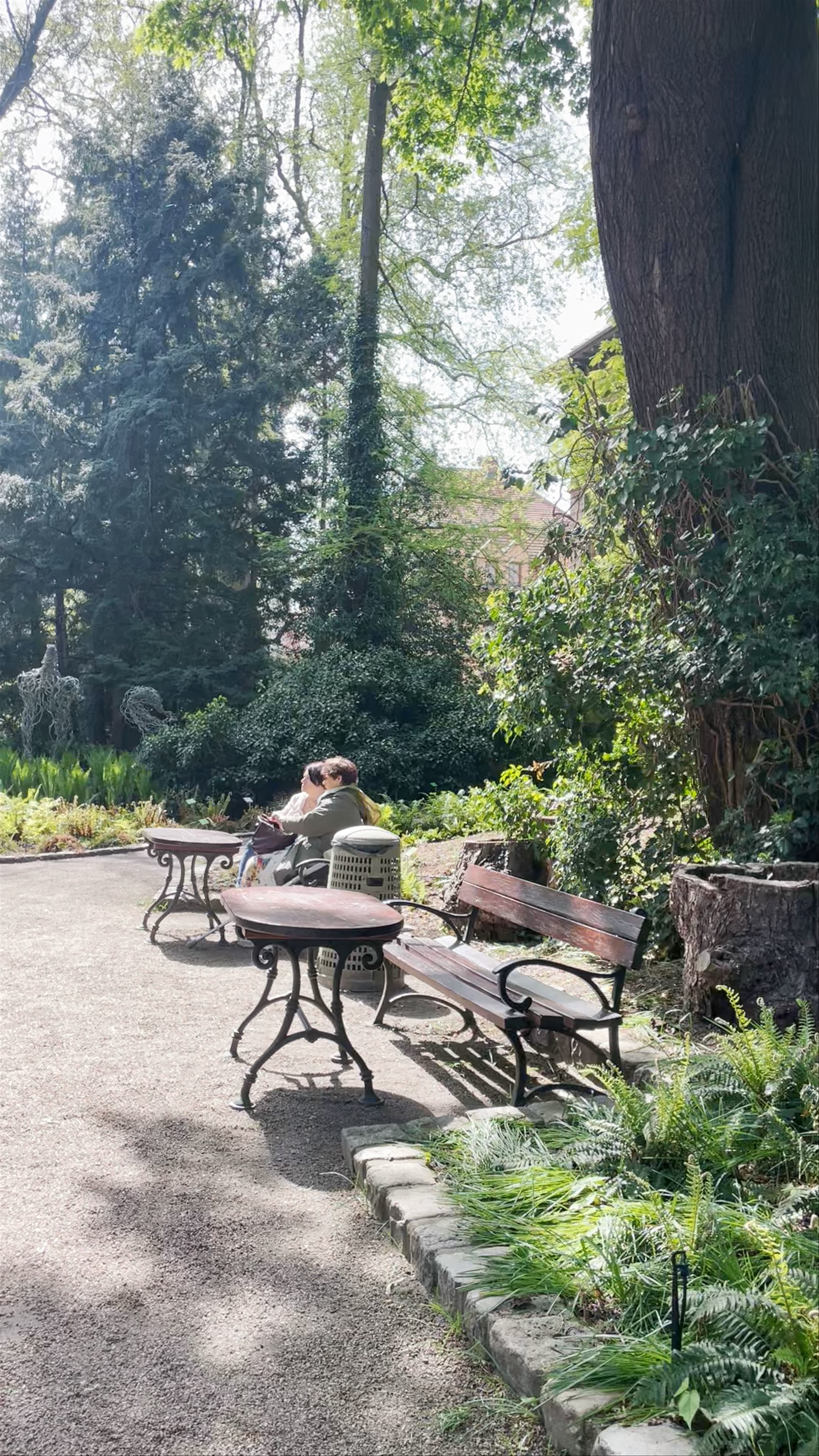 Botanical Garden of the University of Wrocław