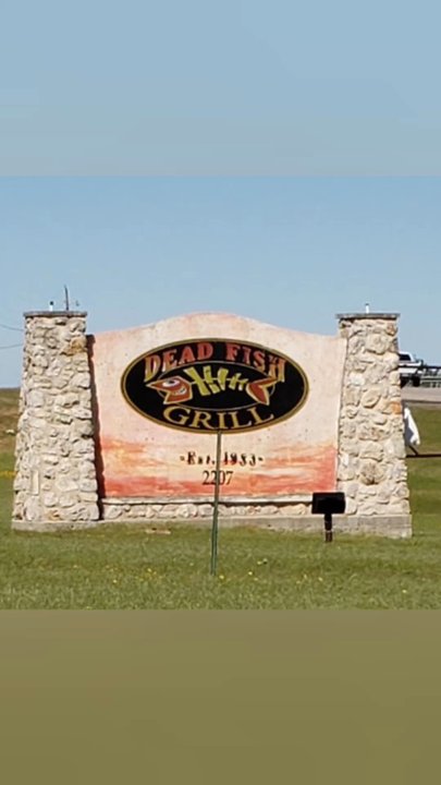 Dead Fish Grill - Really great Food and Service! - American Near Me - Belton, Texas
