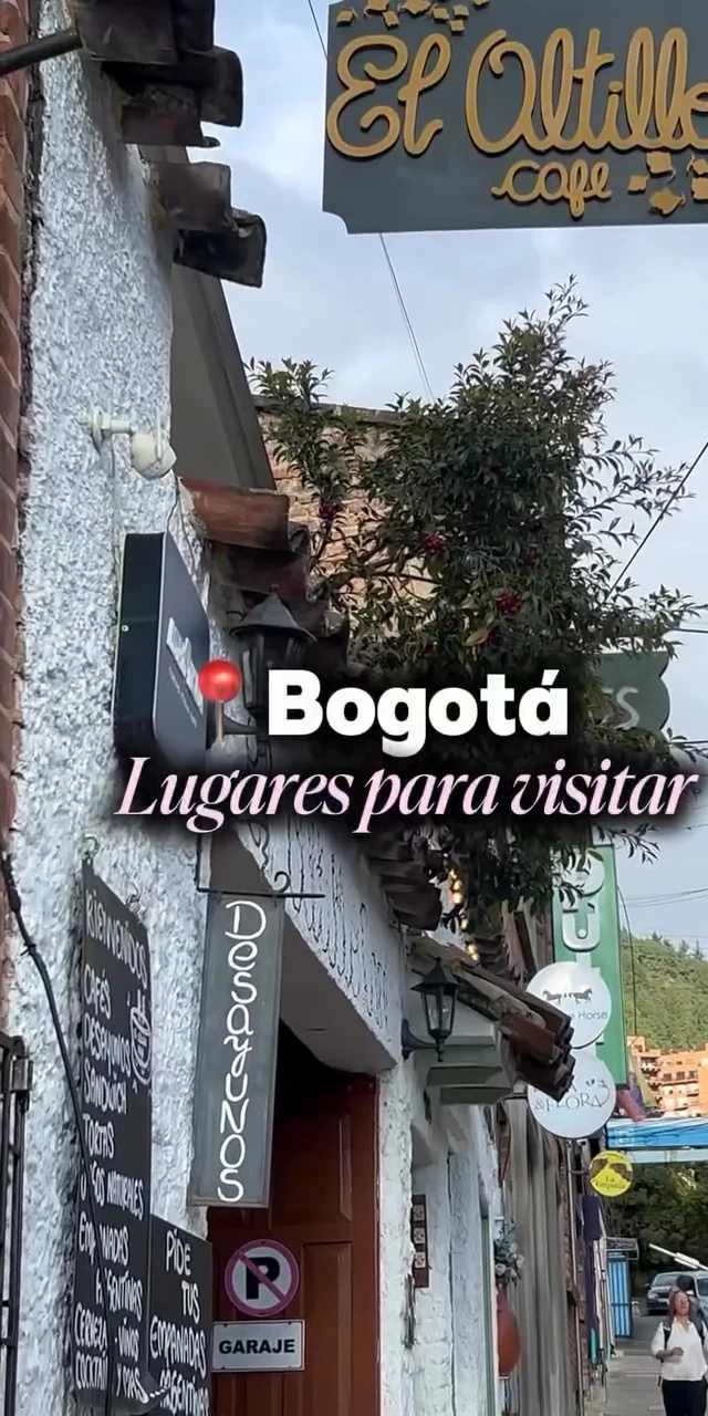 Contenido del creador