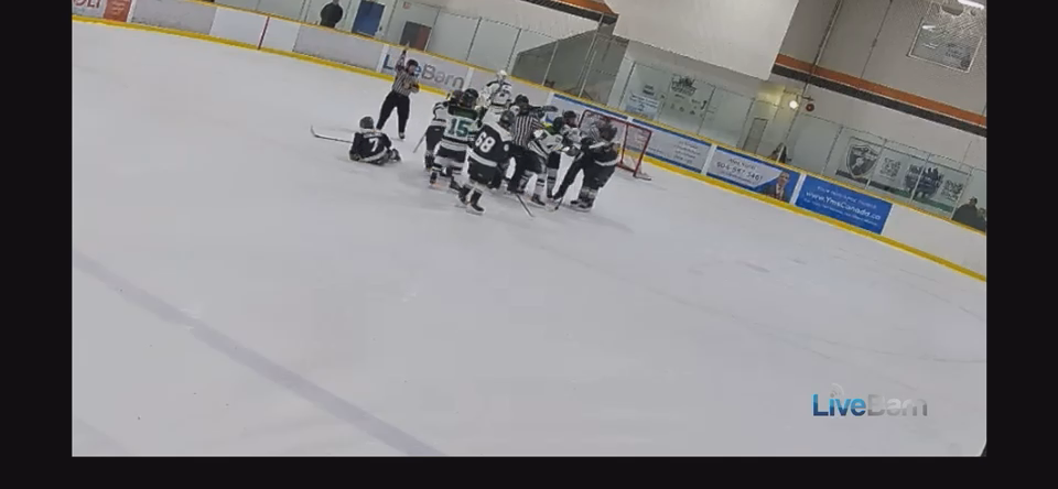 Darrian Stevens | Elite Defensive Highlights from Bauer '25 17U