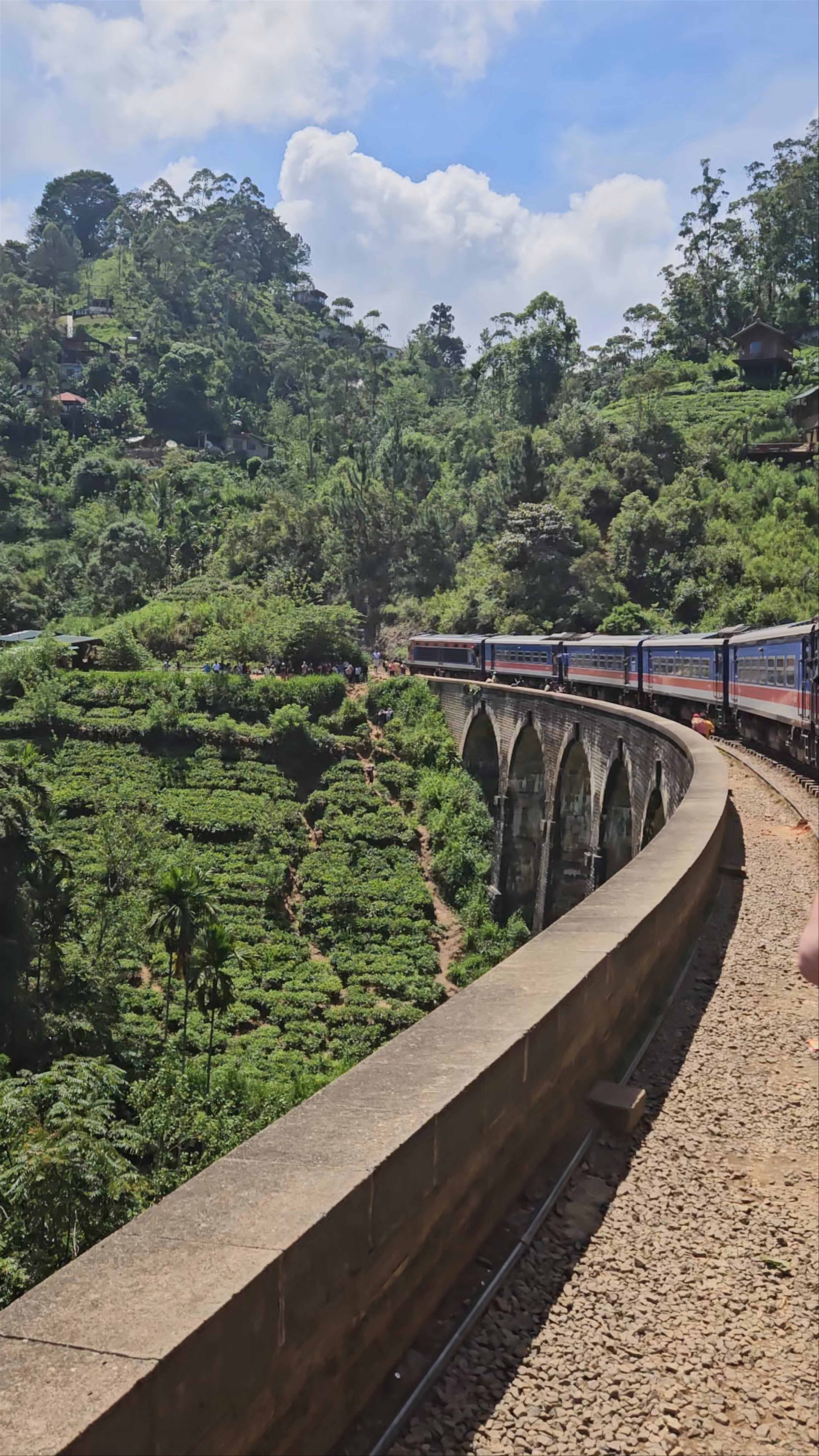 Nine Arches Bridge: Majestic Railway Wonder in Ella, Sri Lanka