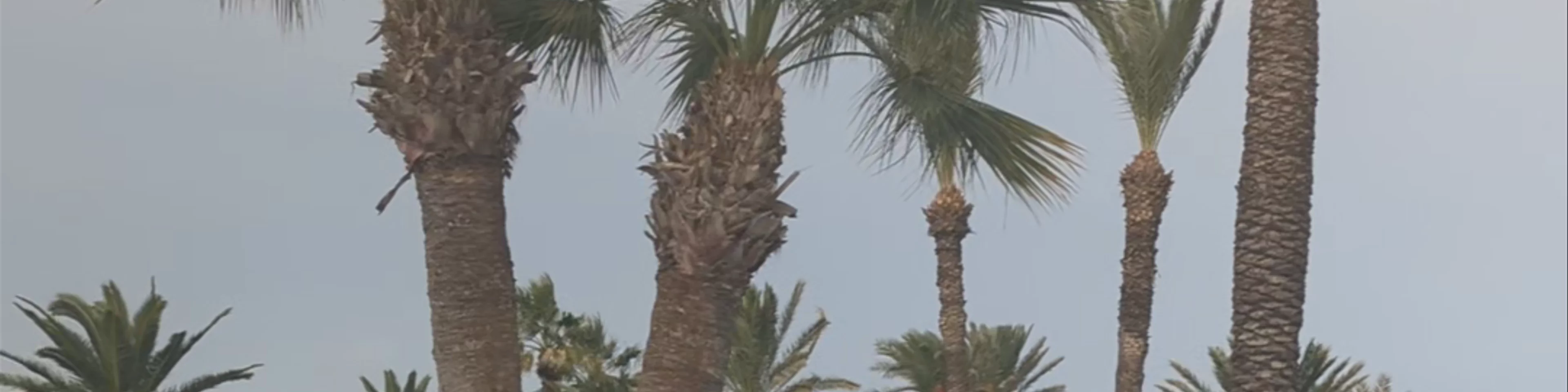 Occidental Sousse Marhaba، Avenue 14 Janvier