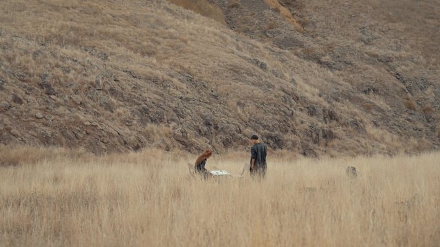 A couple in the field on a windy day