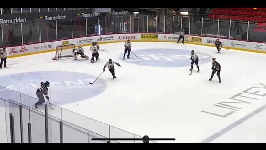 Levi Christian: January 2026 Goalie Highlights from Värnamo GIK U20