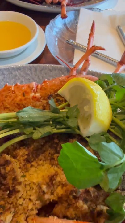 Lobsta Land - Our two pound lobsters not worth the money. - Seafood Near Me - Gloucester, Massachusetts