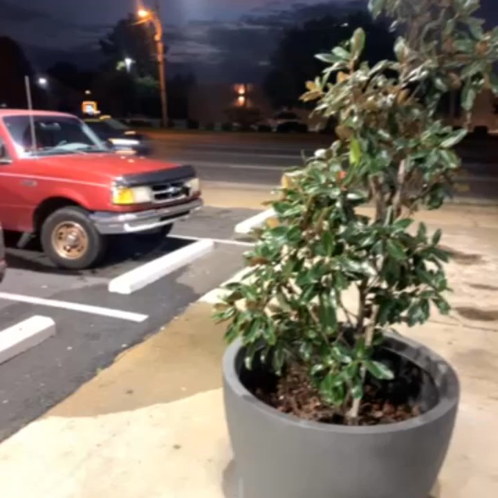 Taco Nganas - Outside - Food Trucks Near Me - Memphis, Tennessee
