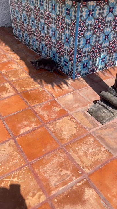 Las Rocas Resort - Hotel cat - Day Spas Near Me - Rosarito, BCN