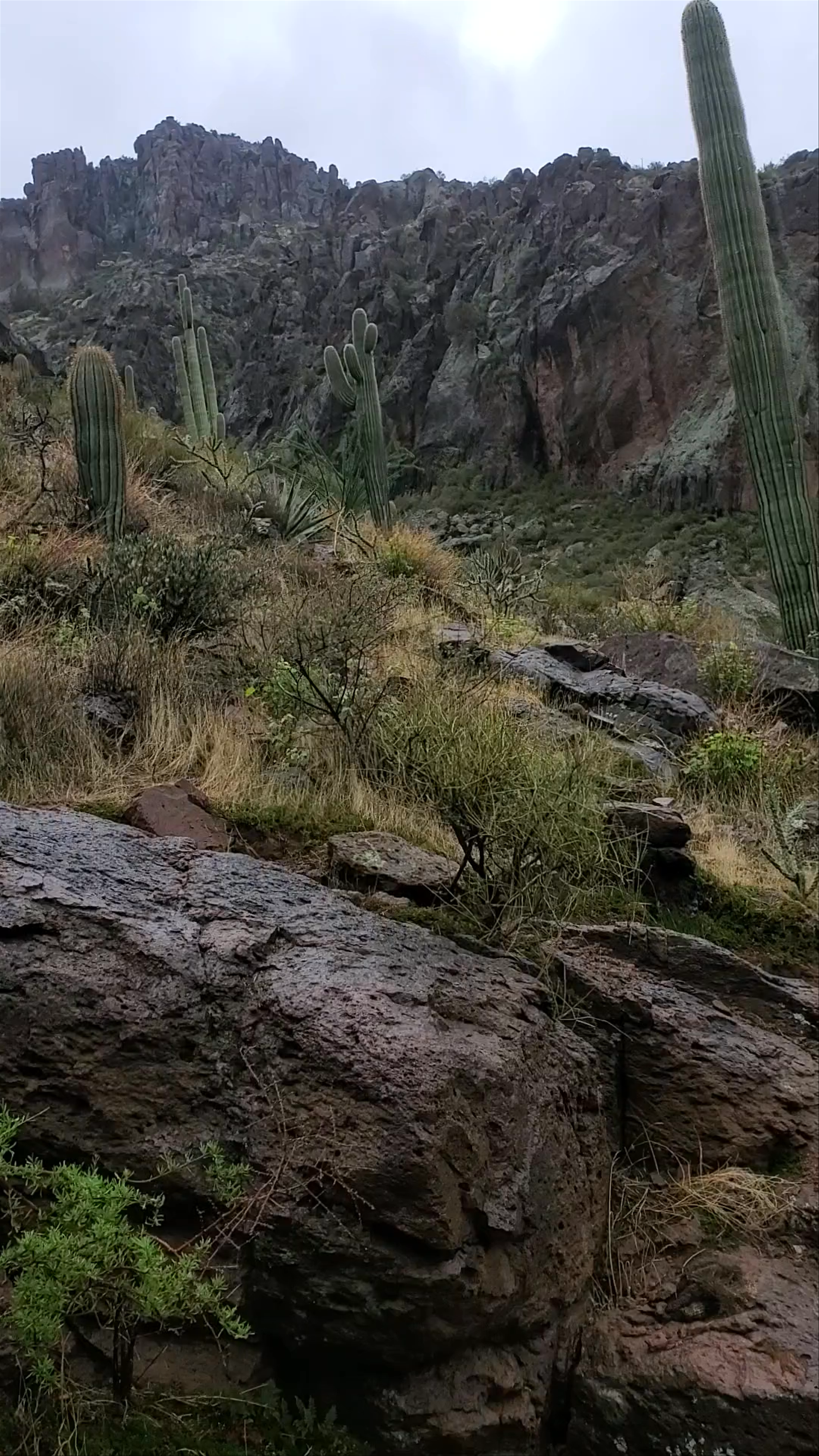 Hieroglyphic Trailhead
