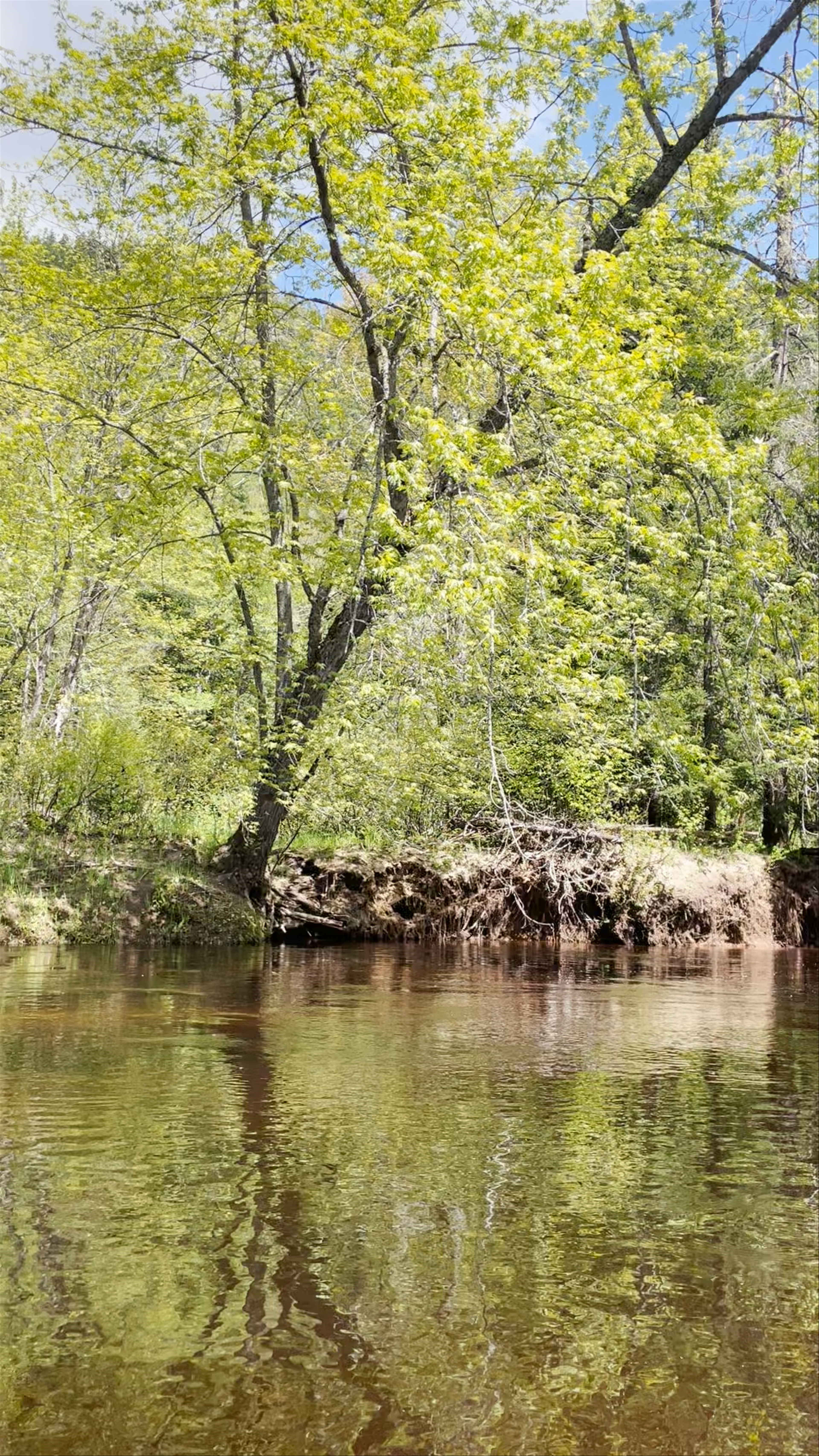 Kayaking the Tranquil Rivière du Diable in Les Laurentides, Quebec