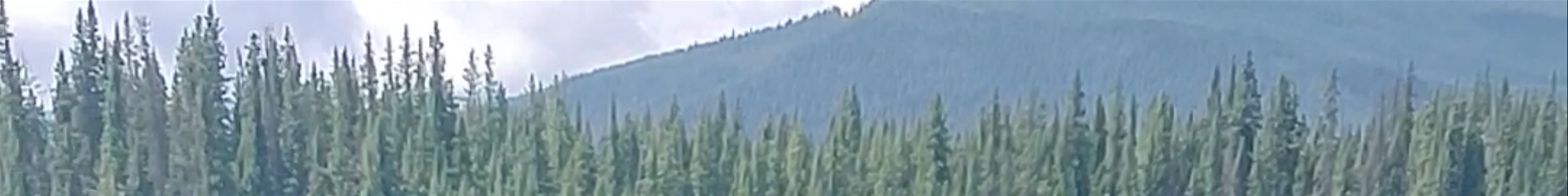 Tours & experiences in Rocky Mountain House