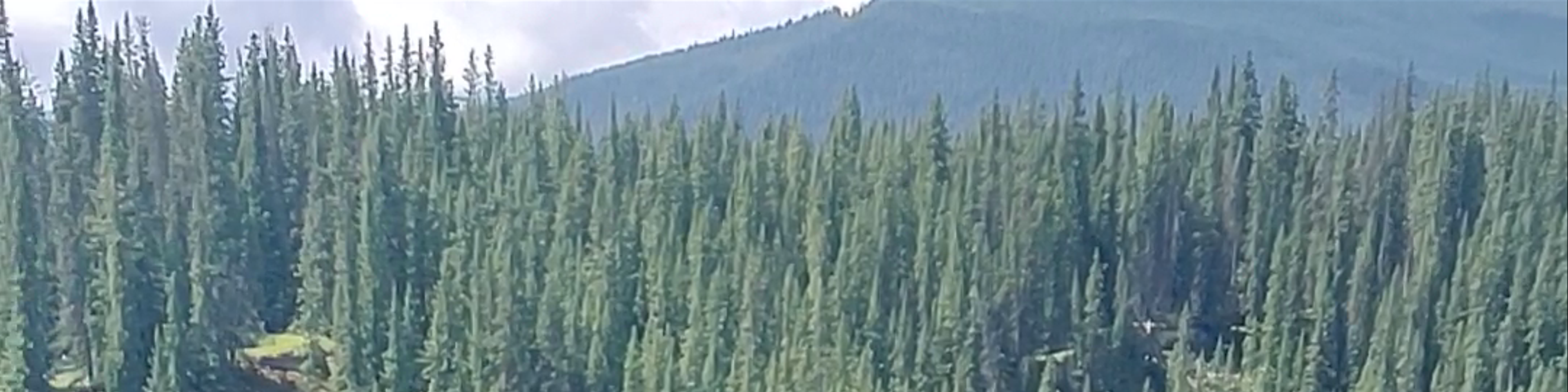 Rocky Mountain House
