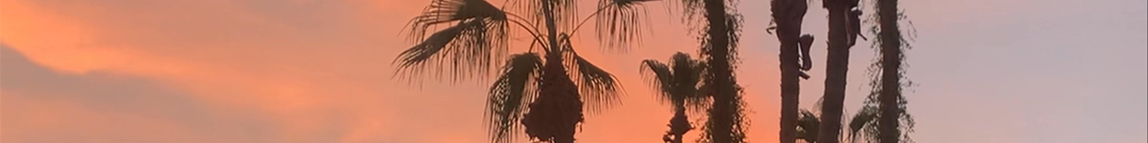 Tours & experiences in Palm Springs