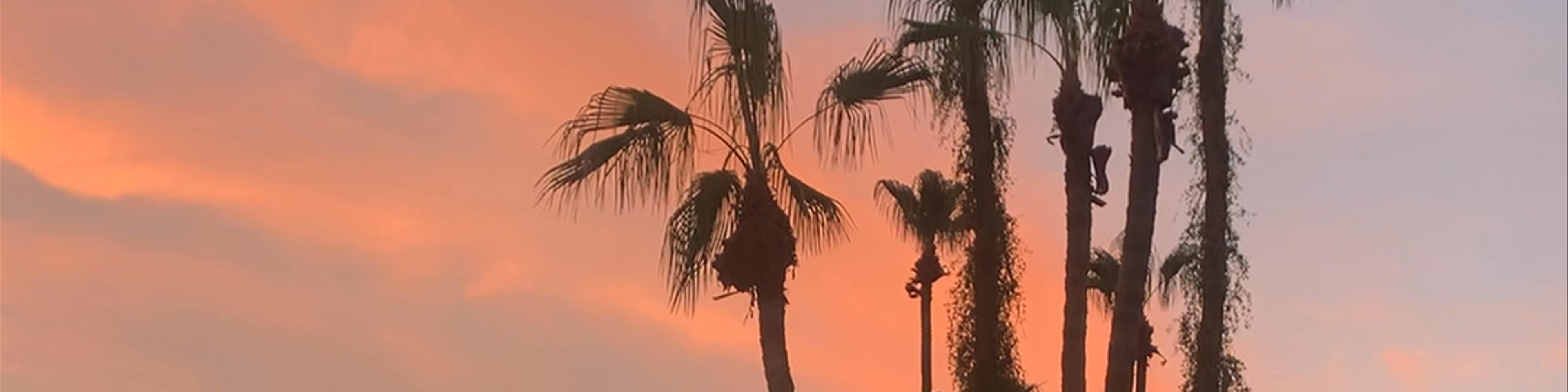 Palm Springs