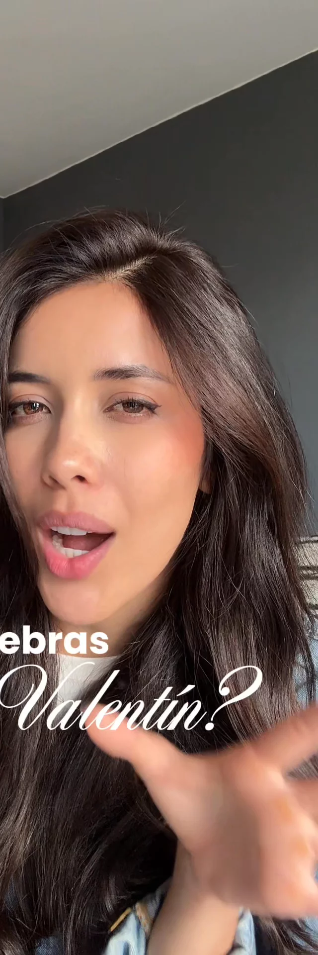 Contenido del creador