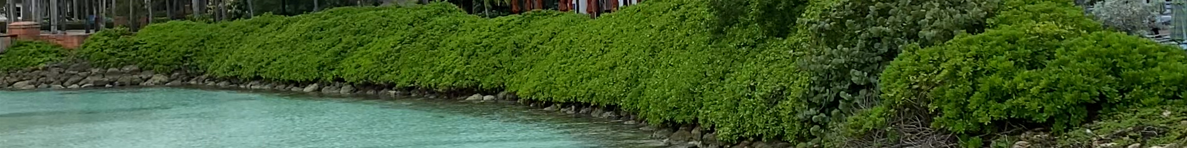 Tours & experiences in Nassau