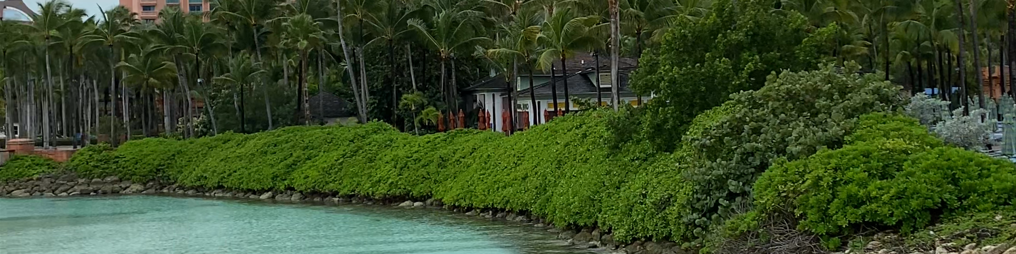 Bahamas