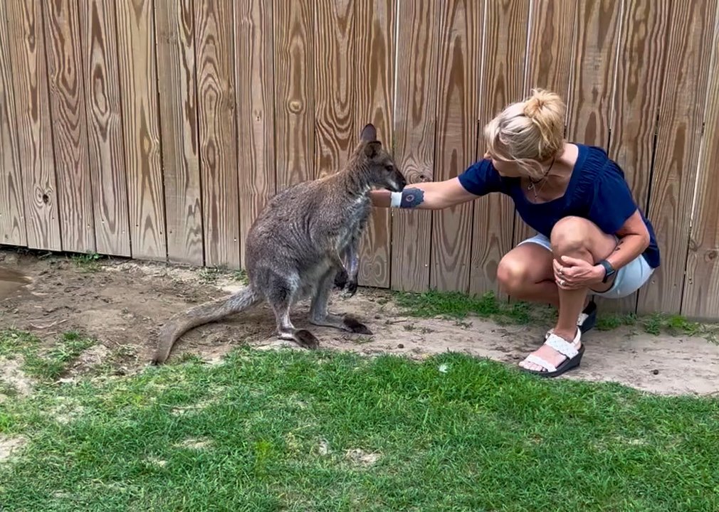 Coastal Wilds - My first Wallabie love, Walter! - Petting Zoos Near Me - Frankford, Delaware