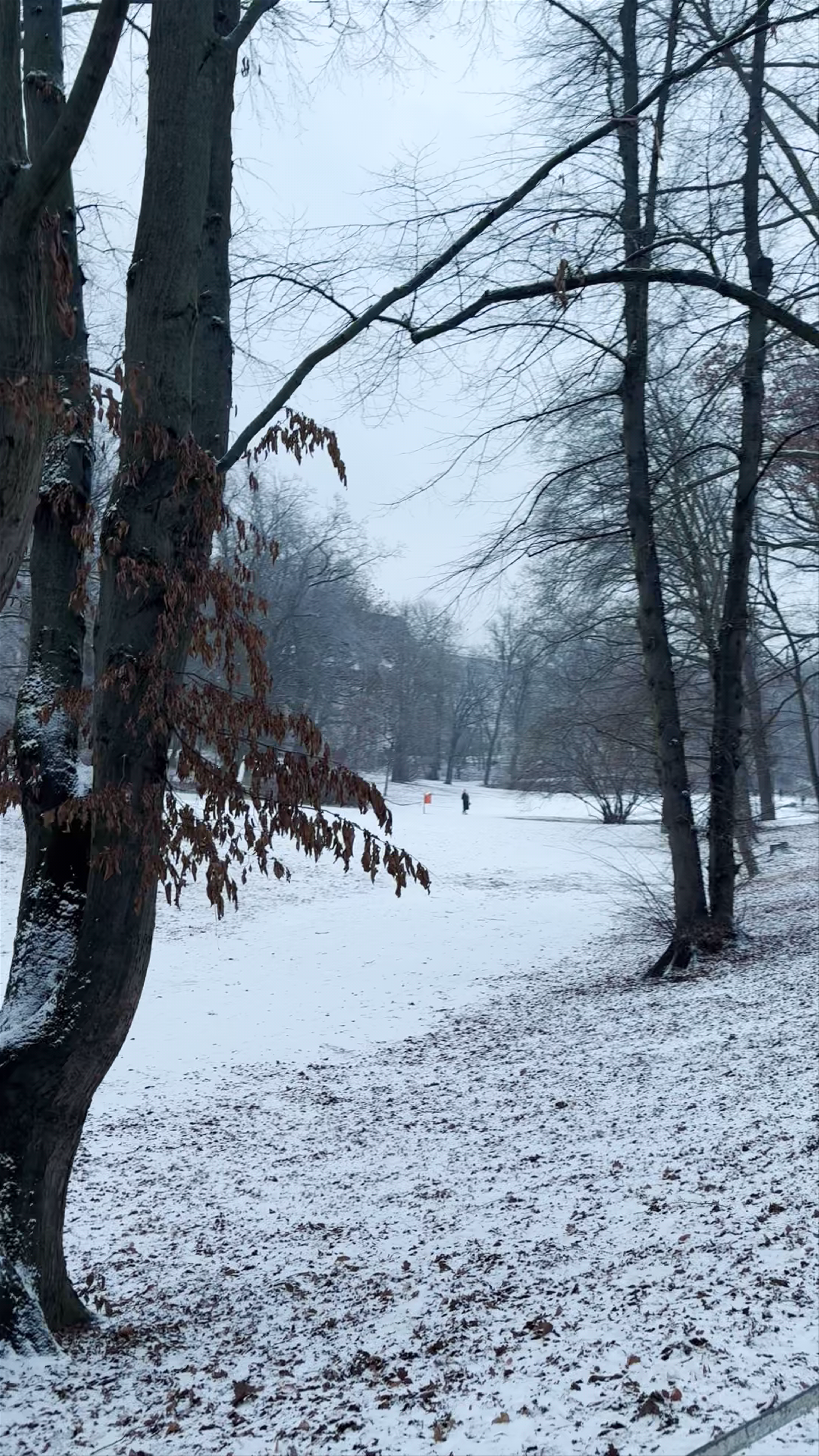 Volkspark Wilmersdorf
