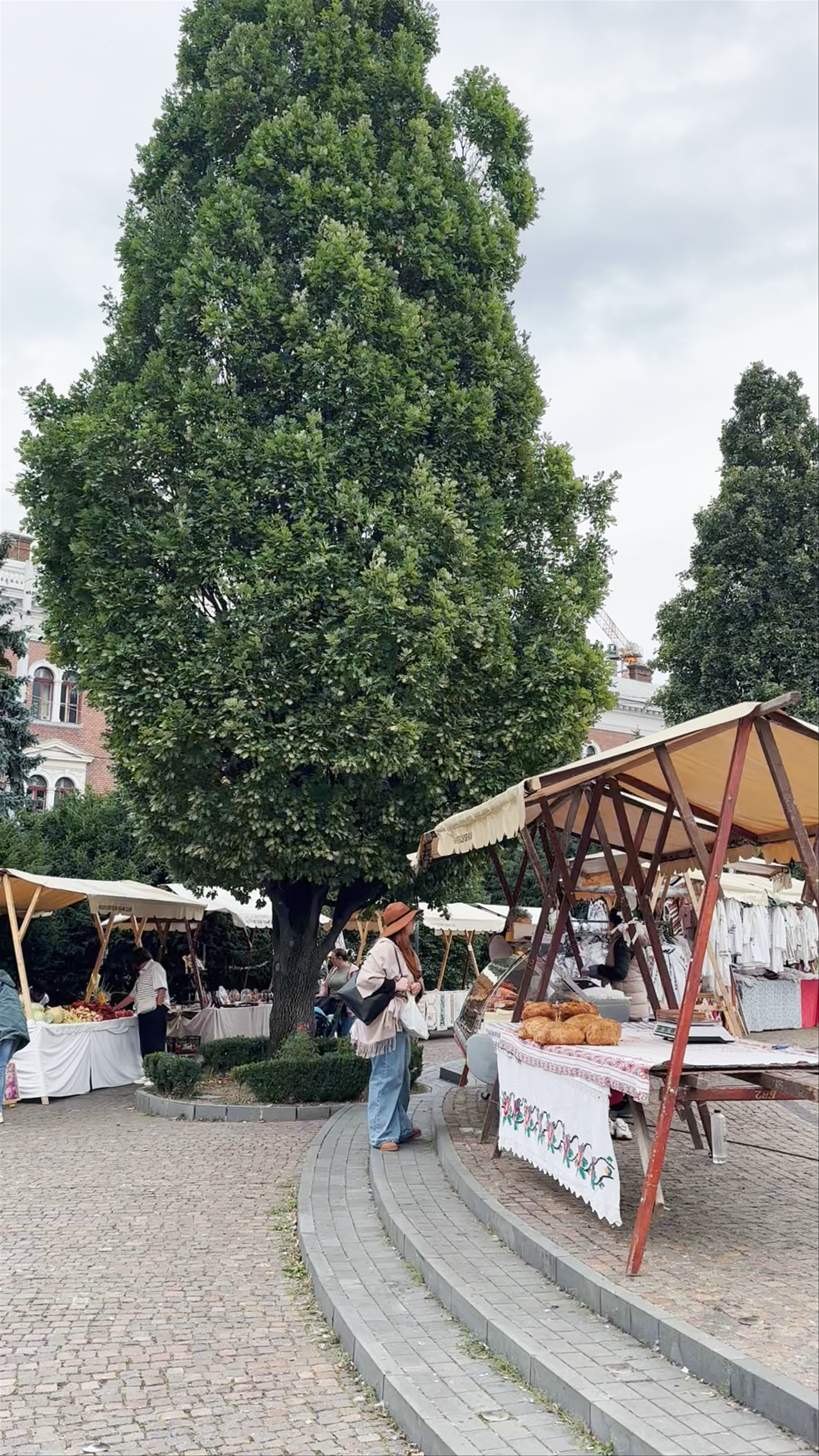 The Statue of Avram Iancu
