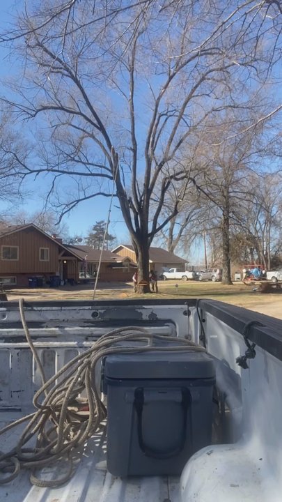 Hill Tree Service - Tree Services Near Me