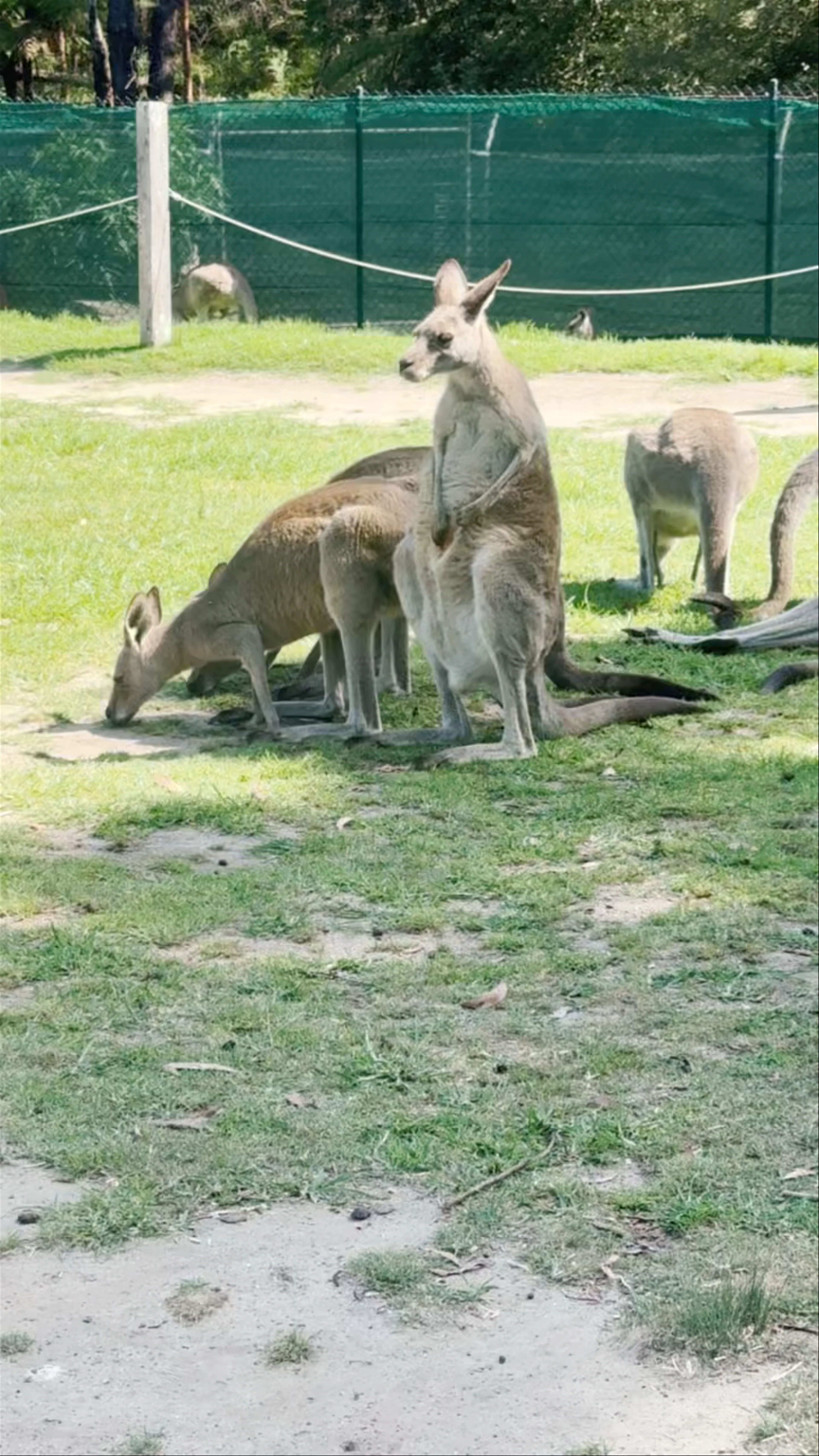 Symbio Wildlife Park